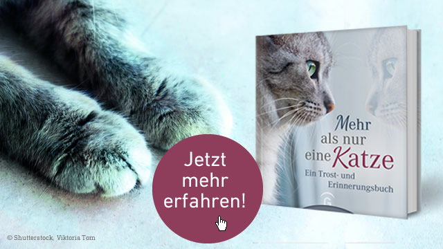 Special zu Kirstin Hoffmann: Mehr als nur eine Katze