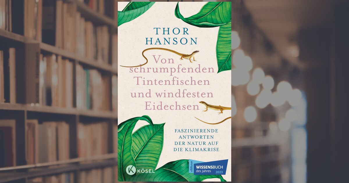 Thor Hanson: Federn – Ein Wunderwerk der Natur - Kurzweiliger Blick in  die Naturgeschichte