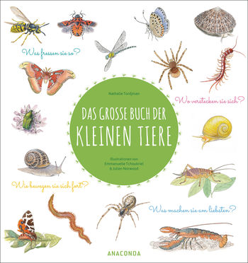 Das große Buch der kleinen Tiere von Nathalie Tordjman