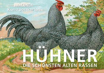 Postkarten-Set Hühner von 