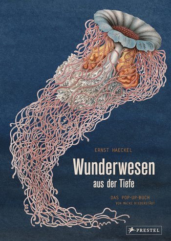 Wunderwesen aus der Tiefe. Ernst Haeckel von Maike Biederstädt, Ernst Haeckel