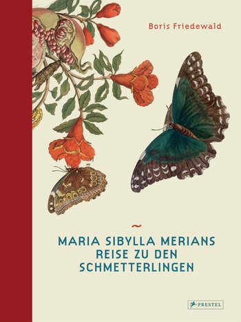 Maria Sibylla Merians Reise zu den Schmetterlingen von Boris Friedewald