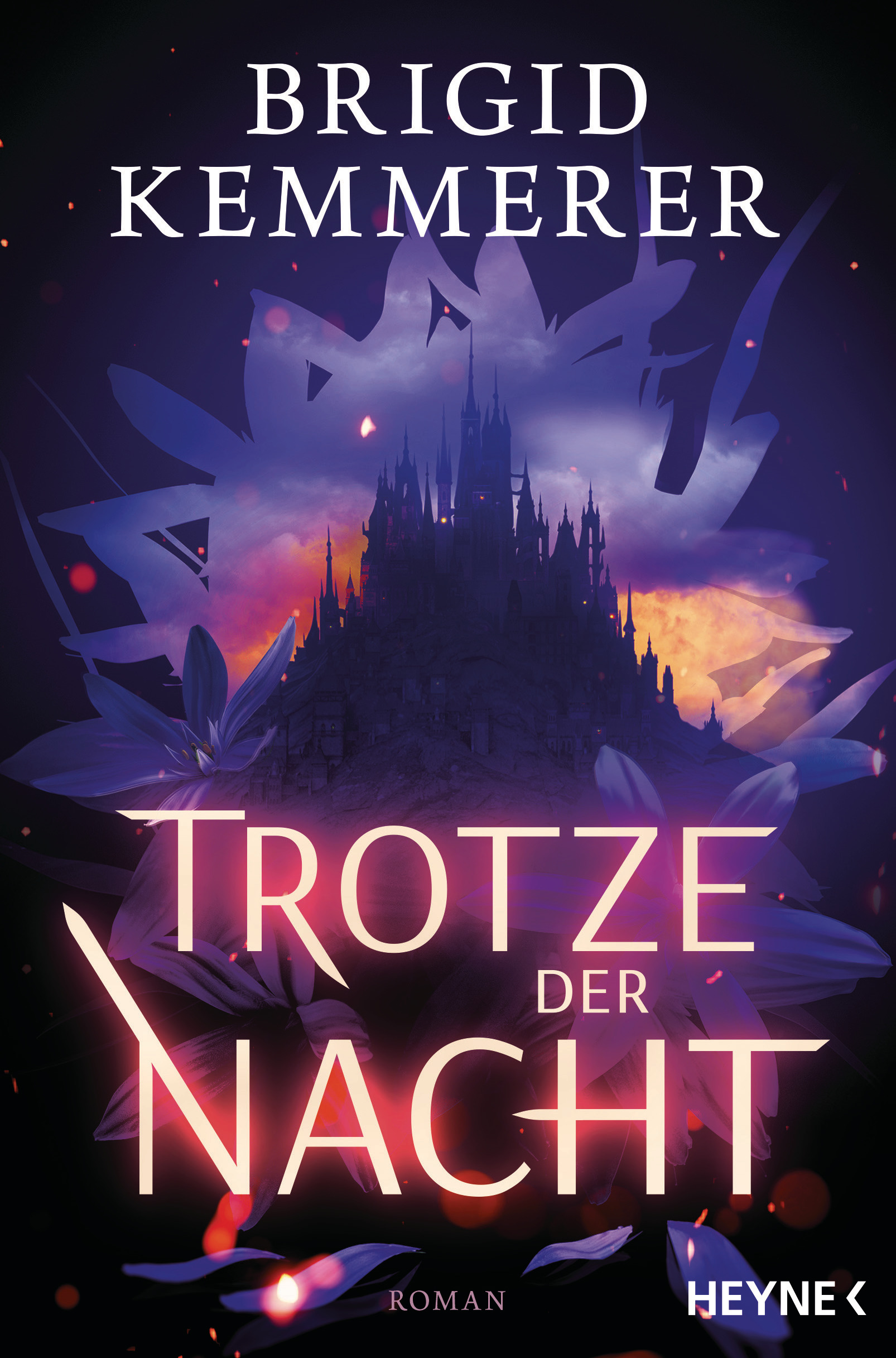 Bücherblog. Neuerscheinungen. Buchcover. Trotze der Nacht (Band 1) von Brigid Kemmerer. Fantasy. Jugendbuch. Heyne Verlag.