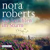 Ein Leuchten im Sturm