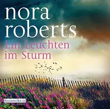 Ein Leuchten im Sturm
