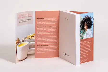 Abbildung 2, Innenklappe