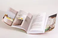 Abbildung 3, Seite 31