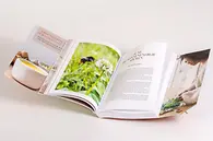 Abbildung 5, Seite 111