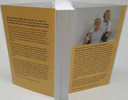 Abbildung 3, Innenklappen