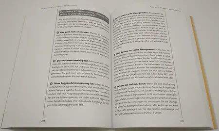 Abbildung 8, Seite 273