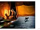 McCurry_Devotion_10-11