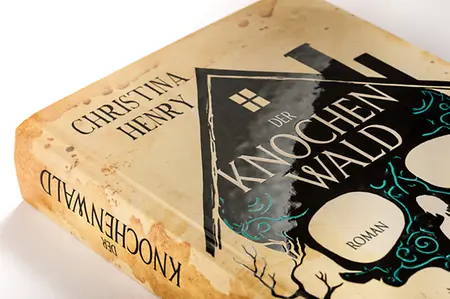 Buch Detail Cover 12