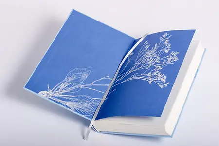 Produktfoto U2 mit Illustration