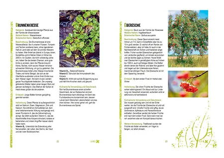 Aus dem Buch, Seite 22-23