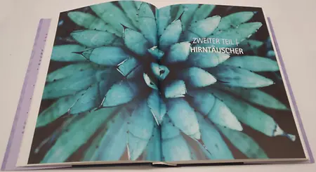 Abbildung 5, Seite 141