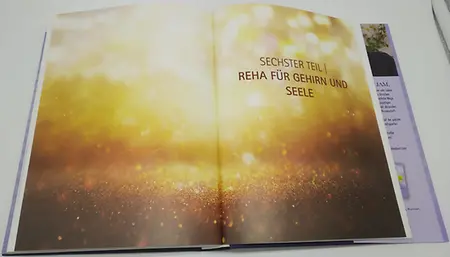 Abbildung 12, Sechster Teil