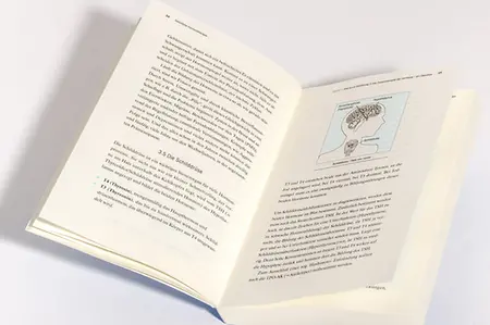 Abbildung 3, Seite 35