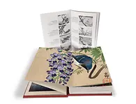 Eisvogel und Lotusblüte_Produktfoto 2