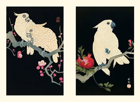 Eisvogel und Lotusblüte_Innenansicht 1
