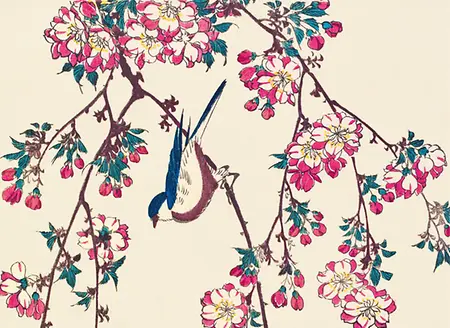 Eisvogel und Lotusblüte_Innenansicht 2
