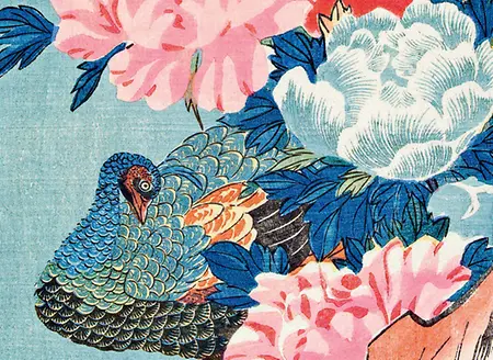 Eisvogel und Lotusblüte_Innenansicht 4