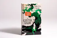 Buch stehend schräg2