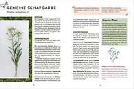 Aus dem Buch, Seite 12-13