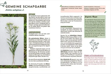 Aus dem Buch, Seite 12-13