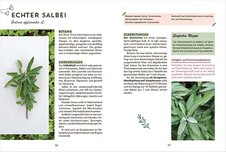 Aus dem Buch, Seite 56-57