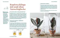 Aus dem Buch, Seite 28-29