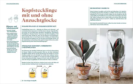 Aus dem Buch, Seite 28-29