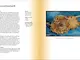 Farbe. Der Guide für Design und Kunst_Seite 120/121