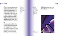 Farbe. Der Guide für Design und Kunst_Seite 210/211