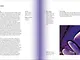 Farbe. Der Guide für Design und Kunst_Seite 210/211