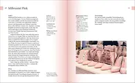 Farbe. Der Guide für Design und Kunst_Seite 230/231