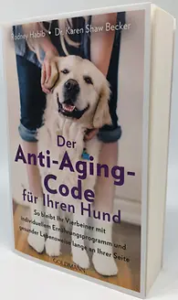 Abbildung 1