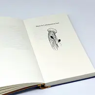 Ausstattung 4
