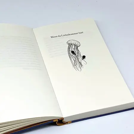 Ausstattung 4