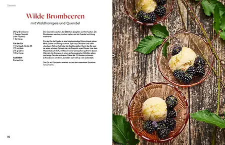 Aus_dem_Wald_Wilde_Brombeeren_92-93