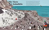 Die Tiere der Antarktis
