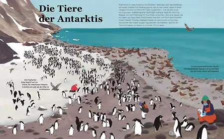 Die Tiere der Antarktis