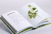 Produktfoto Innnenabbildung 2