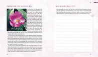 Innenseite_2