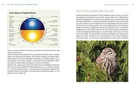 Innenseite Tagesrhythmus