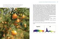 Innenseite natürliches und künstliches Licht