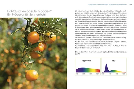 Innenseite natürliches und künstliches Licht