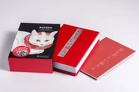 Produktfoto Box mit Buch
