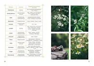 Aus dem Buch, Seite 20-21