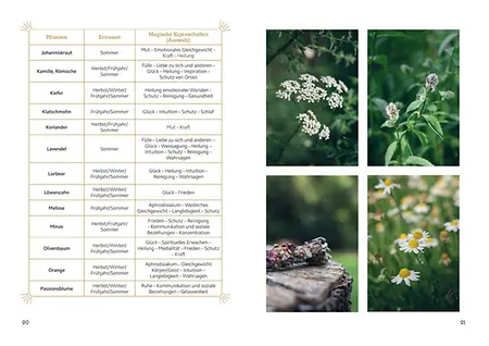 Aus dem Buch, Seite 20-21