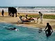 Steve McCurry_4